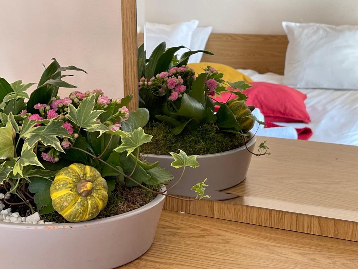 Adeona Wellness Hotel By Asteri Hotels Bansko Zewnętrze zdjęcie
